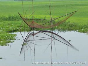 Fischerei auf Majuli