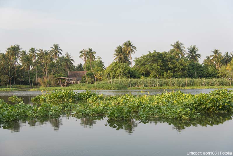 Majuli - Hütte am Brahmaputra