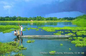 Fischerei auf Majuli