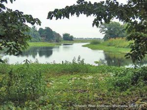 Landschaft auf Majuli