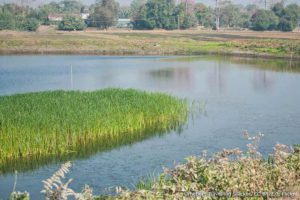 Landschaft und klimatische Bedingungen auf Majuli