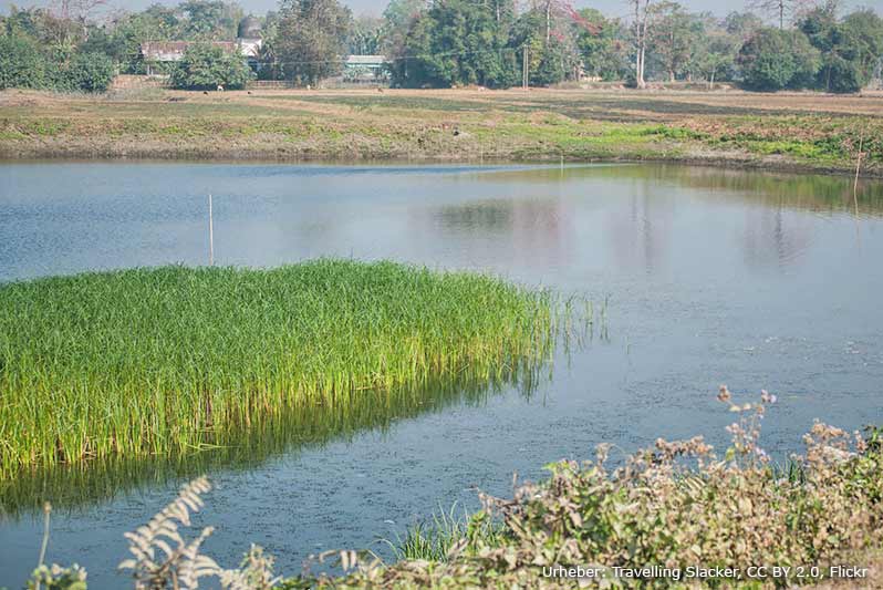 Landschaft auf Majuli