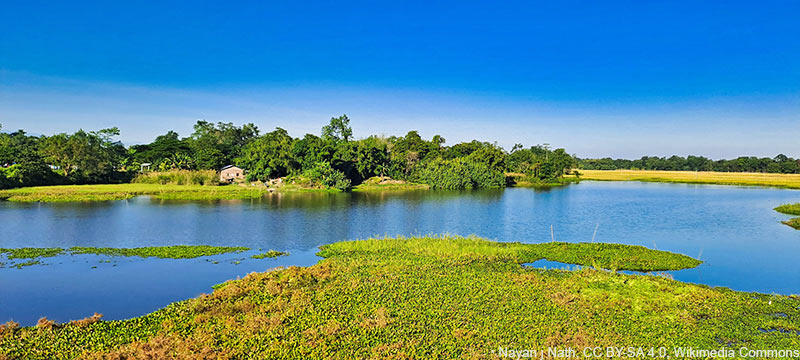 Haus auf Majuli