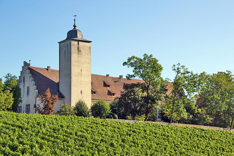 Bewohnte Flussinseln in Deutschland - Weininsel 