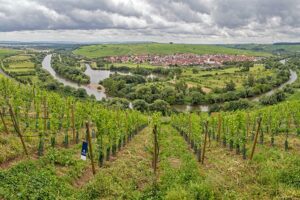 Bewohnte Flussinseln in Deutschland - Weininsel im Main